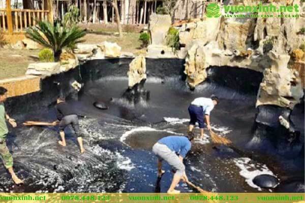 Dịch vụ bảo trì bảo dưỡng hồ cá koi