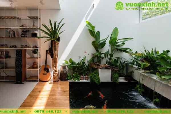Mẫu hồ cá koi đẹp nhất