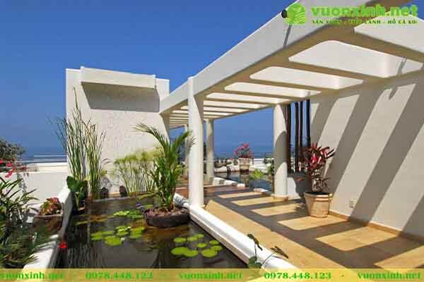 Mẫu hồ cá koi đẹp nhất