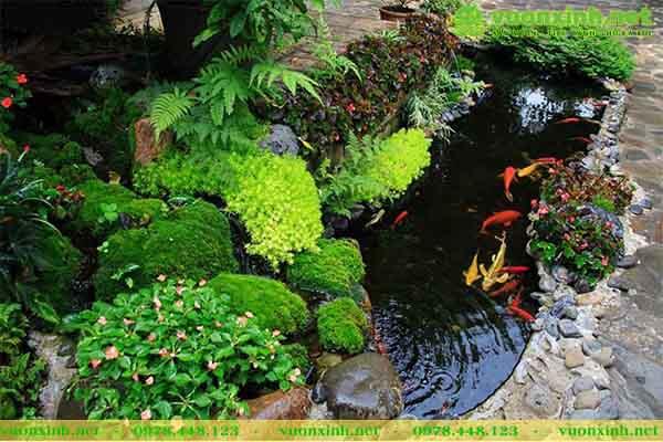 Mẫu hồ cá koi mini đẹp