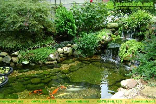 Mẫu hồ cá koi mini đẹp