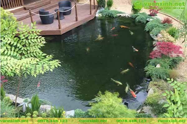 Thiết kế hồ cá koi chuẩn đẹp