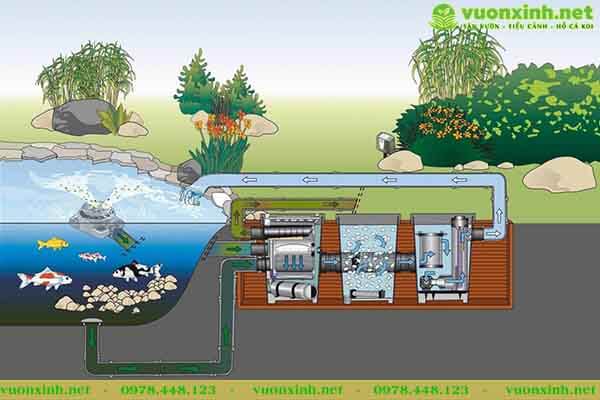 Thiết kế hồ cá koi chuẩn đẹp