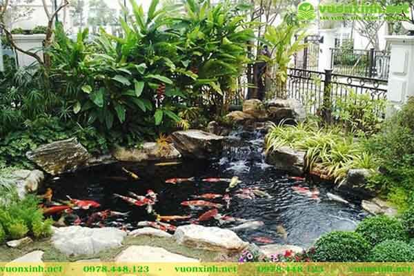 Thiết kế hồ cá koi chuẩn đẹp
