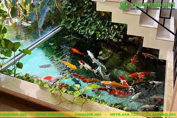 Vị trí đặt hồ cá koi hợp phong thủy