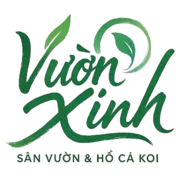 Tiểu Cảnh – Hồ Cá Koi